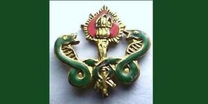 Medical or Religious, Fraternal Society Snakes & Heart lapel  Pin